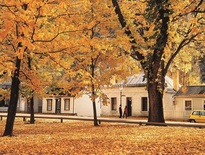 Escorted tours to New Zealand 2026 - Photo 