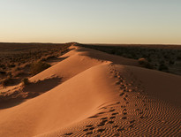 Birdsville and Winton air tours 2026 - Photo 