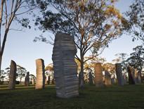 Grafton Jacaranda Festival tours for Seniors - Photo 