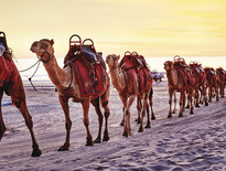 Tour packages to Broome 2027 for over 50s - Photo 