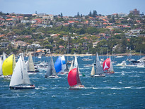 Sydney tours to see Sydney to Hobart Yacht Race 2026 - Photo 