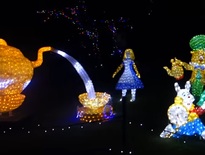 Christmas tours for over 50s 2026 - Photo 