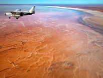 Group tours to Lake Eyre & Fllnders Ranges - Photo 