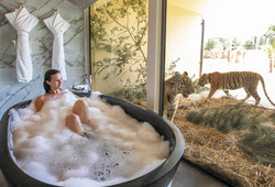 Tour thumb 109642 3 jungle bungalows at jamala wildlife lodge   visitcanberra