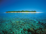 Small thumb lady musgrave island   image tourism   events queensland