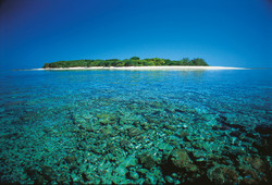 Tour thumb lady musgrave island   image tourism   events queensland