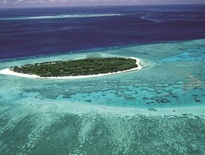Holiday packages to Lady Musgrave and Bundaberg 2026 - Photo 