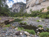 Over 50s holidays from Brisbane to Carnarvon Gorge 2026 - Photo 