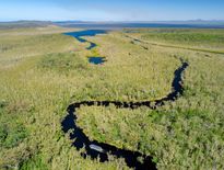 Guided holidays to Fraser Island and Carnarvon Gorge from Brisbane for seniors 2026 - Photo 