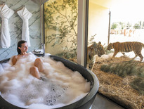 Guided tours to the Canberra Floriade for Seniors and Over 50s 2026 - Photo 