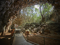 Undara Experience - Photo Tourism & Events Queensland Tours from Cairns to Undara, Cobbold Gorge and Longreach 2026 - Photo