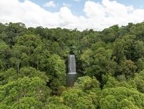 Millaa Millaa Falls Photographer: Jesse Lindemann, Tourism & Events Queensland Outback Queensland tours from Cairns to Longreach for Seniors 2026 - Photo