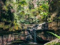 Carnarvon Gorge - Photo Tourism & Events Queensland 2026 Tours from Toowoomba to Carnarvon Gorge and Longreach for over 50s - Photo