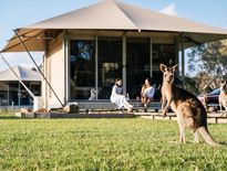 Holiday packages for seniors to Noosa and Great Keppel Island, Queensland holidays for seniors 2026 - Photo 