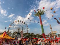 Short tours to Sydney for Seniors for World Flower Show, Over 50 tours - Photo 