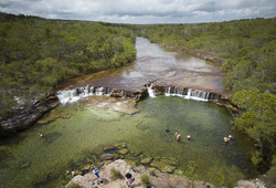 Tour thumb 151722 57 fruit bat falls   photo tourism and events queensland