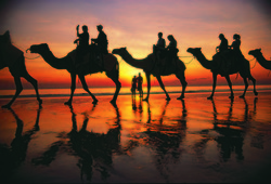 Sunset Camel Ride on Cable Beach Broome, Western Australia